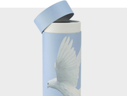 Dispersão das cinzas