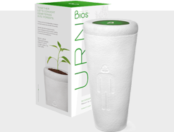 Urnas biodegradáveis para cinzas
