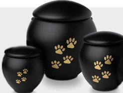 Urnas animais aço (inoxidável)