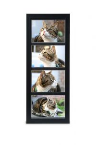 Urna porta-retratos para animais de estimação