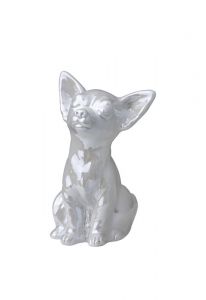 Urna para cinzas de cachorro