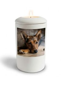 Urna cinerária branca acetinada para cachorro com imagem, personalizável