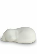 Urna 'Perro que duerme'