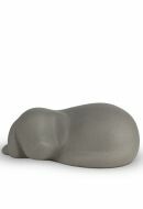 Urna 'Perro que duerme'