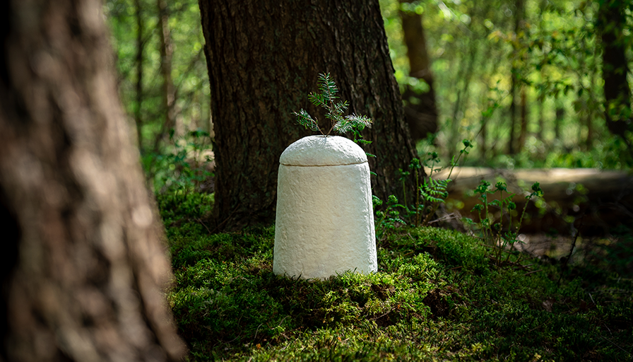 Despedida sustentável: um novo começo para as pessoas e para a natureza